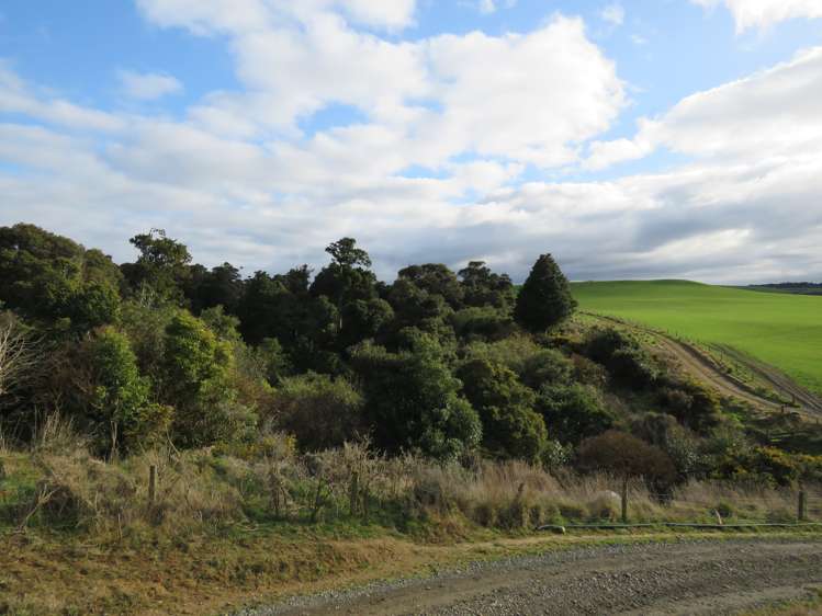 775 Otara Haldane Road Wyndham Surrounds_10