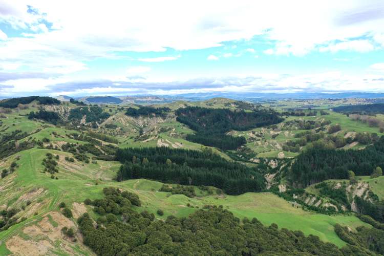 643 Glengarry Road Puketapu_10