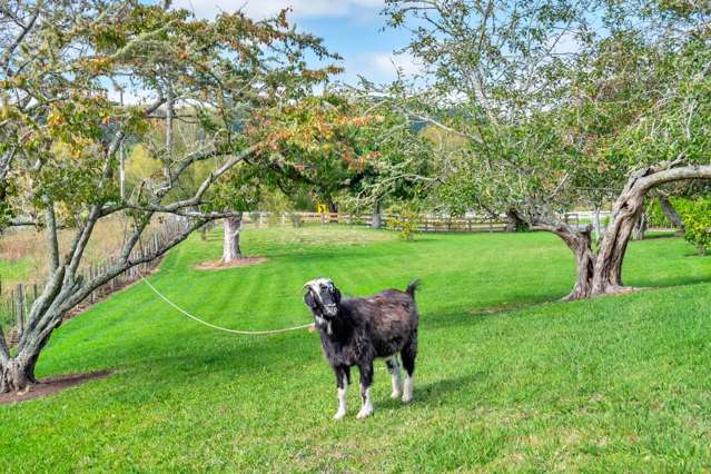 748 Woodcocks Road Kaipara Flats_2