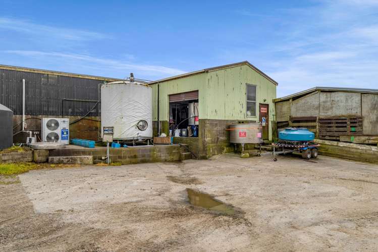 358 Opunake Road Cardiff_14