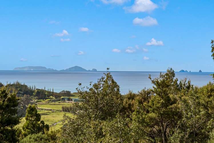 1559 Pataua North Road Pataua North_19