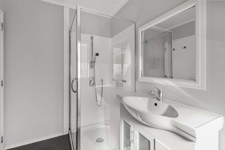 102c Clark And Denize Road Pukekawa_13