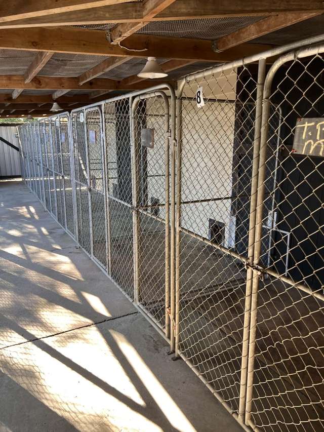 128 Mako Mako Road Levin_3