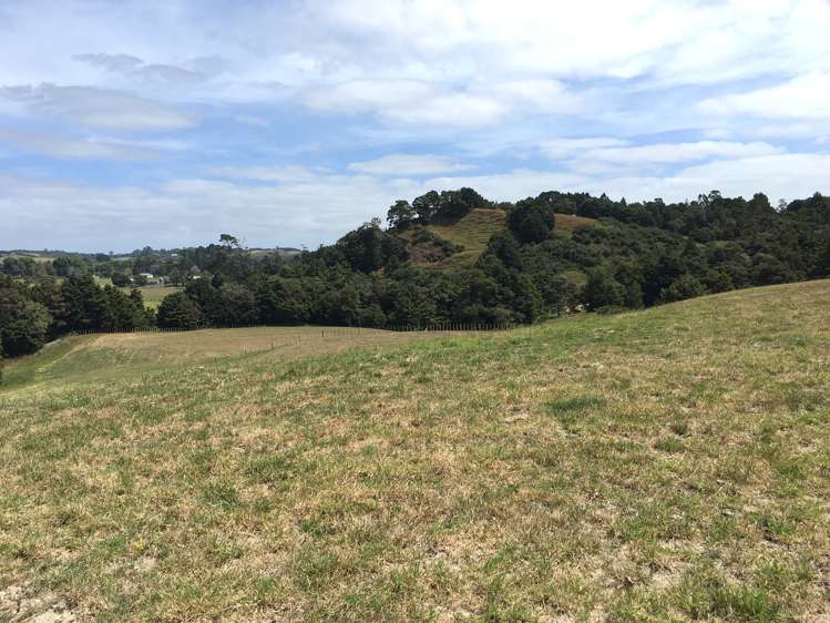 Pebble Brook Road Waitoki_6