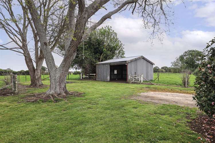 223 Te Kawana Road Te Aroha_4