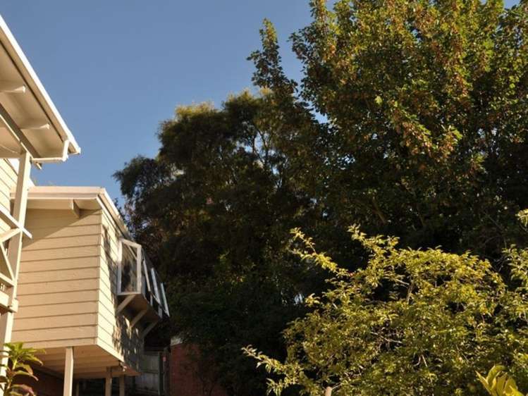 19f London Street Dunedin Central_5