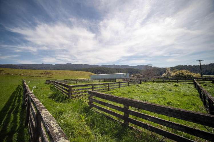 1584 Tadmor-Glenhope Road Tapawera_11