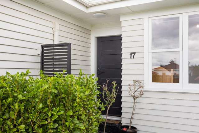 17 Alexander Street Awapuni_1
