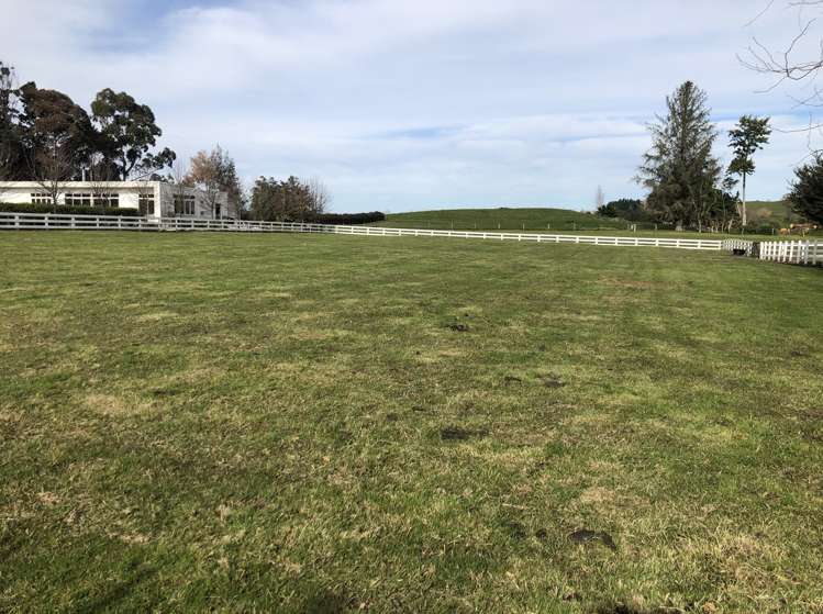 100 Baffin Street Pirongia_7