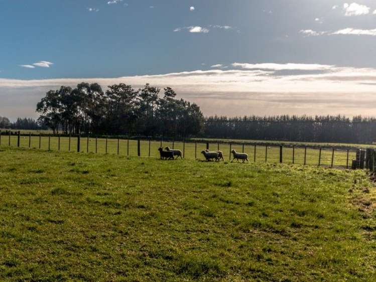 23 Stafford Street Clive_29