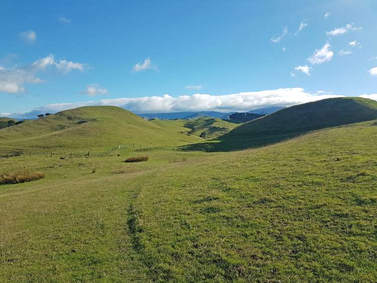 76064 State Highway 2 Rangitikei Surrounds_19