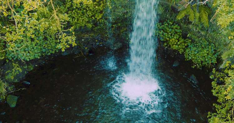 4581 South Road Opunake_8