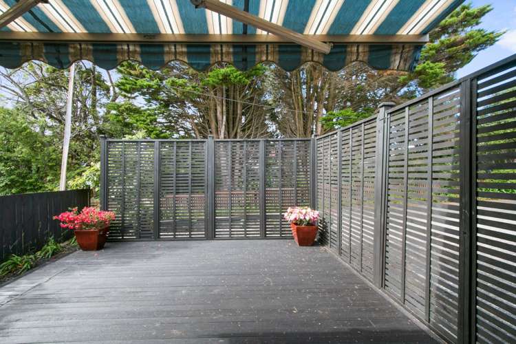 113a Astley Avenue New Lynn_12