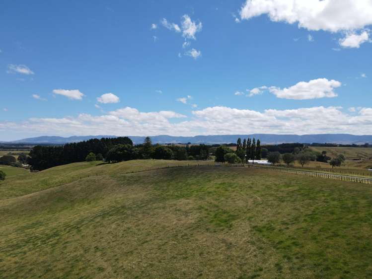 698 Cowper Road Dannevirke_0