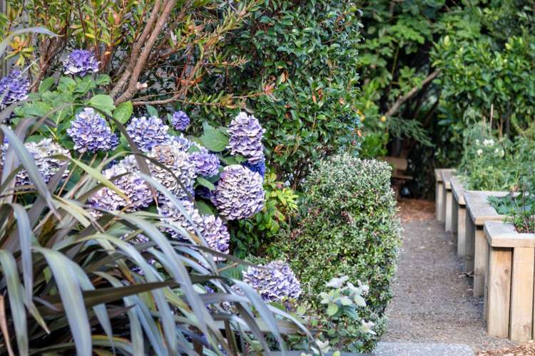 58 Coster Road Muriwai_26