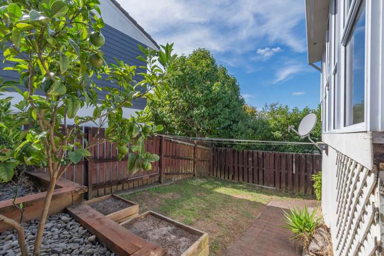 1/4 Grove Lane Pakuranga_2