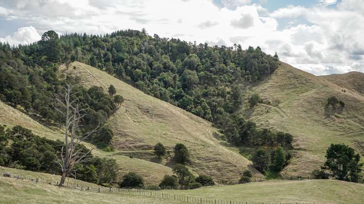 2586 State Highway 2 Maramarua_21