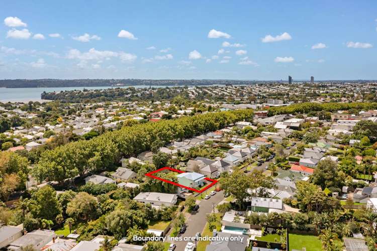 25 Wilton Street Grey Lynn_14