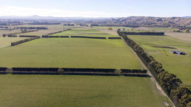 595 East Taratahi Road East Taratahi_6