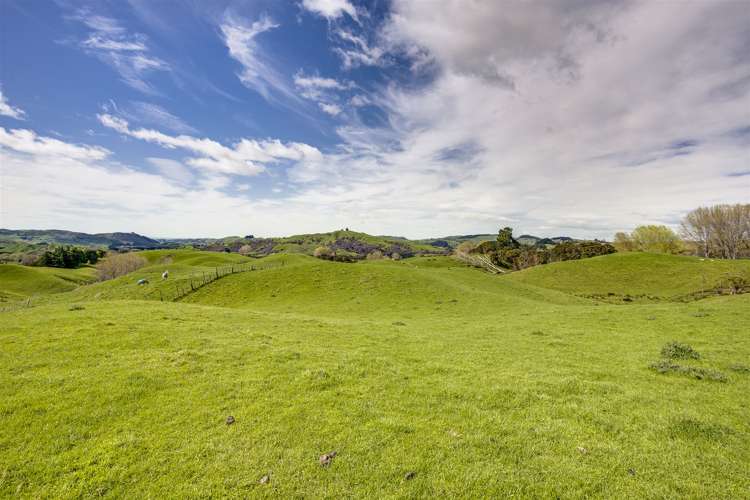 Glengarry Road Hastings Country_4