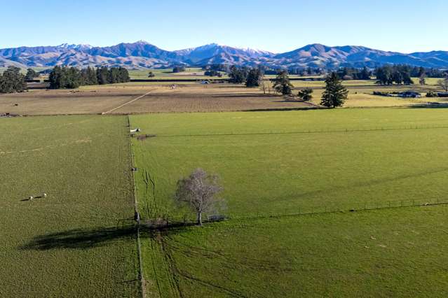 Woodbury Road Geraldine_3