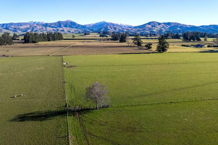 Woodbury Road Geraldine_3