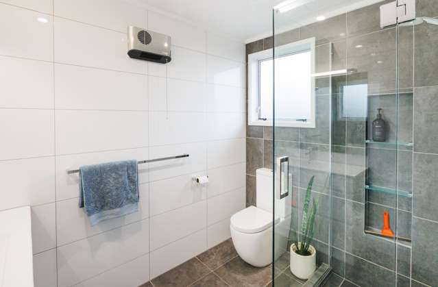 644 Featherston Street Roslyn_3