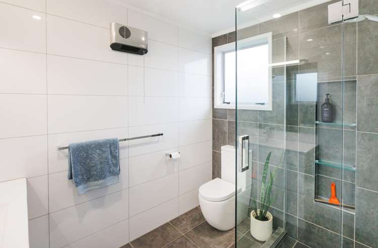 644 Featherston Street Roslyn_3