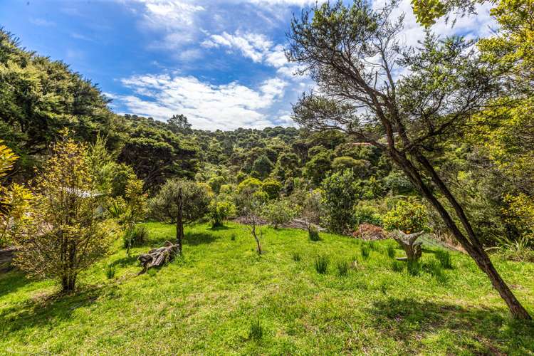 19 Nepean Avenue Waiheke Island_16