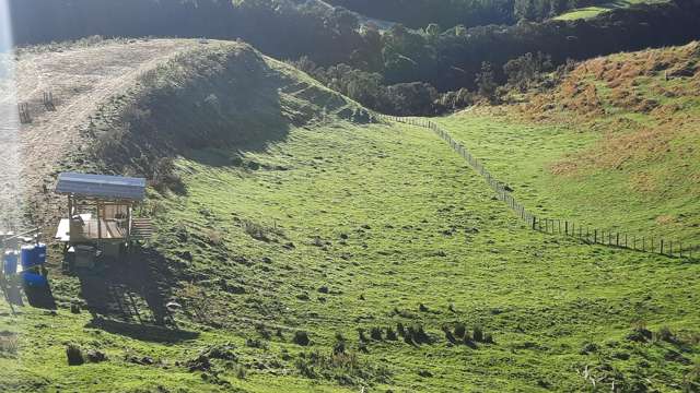 515 Zig Zag Road Pohangina_2