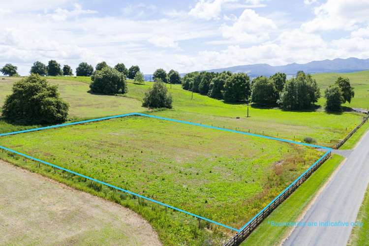 219 Candy Road Pokuru_7