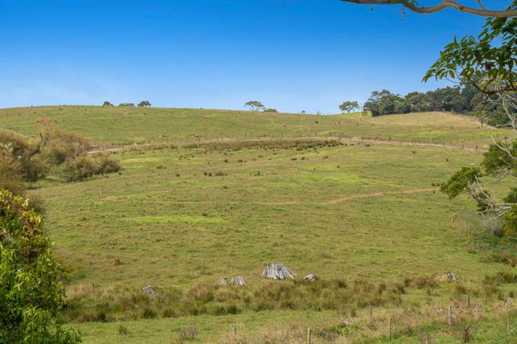 660 Kaipara Coast Highway Helensville_29