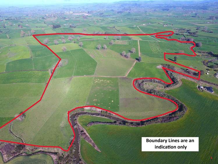 233B Kio Kio Station Road Otorohanga_37