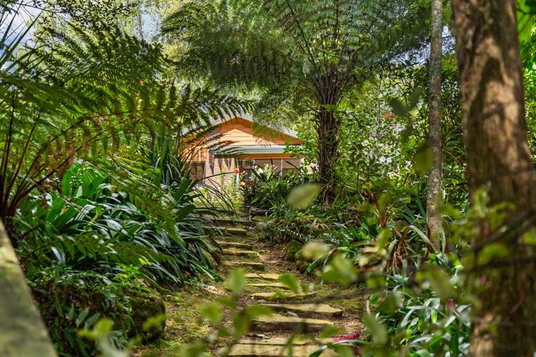 211 Whau Valley Road Whau Valley_32