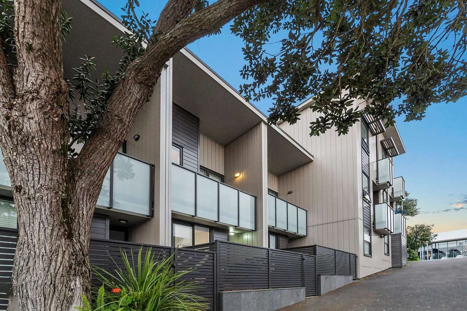 88 Harold Street Mount Eden_0