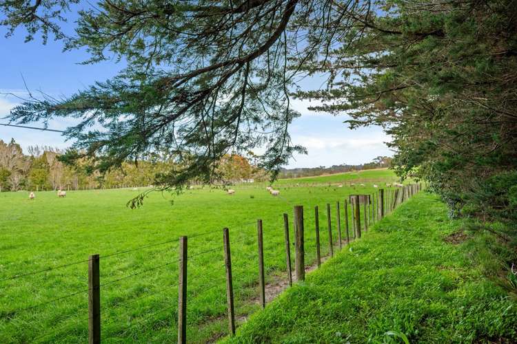 19 Valley Road Waitoki_24