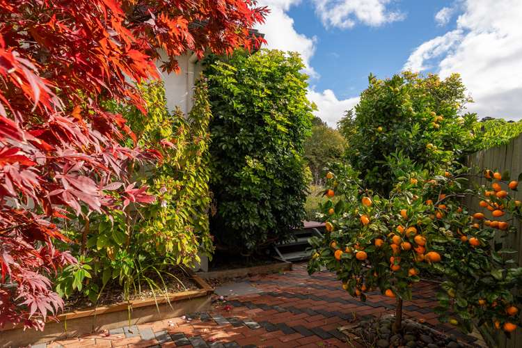 19 Summerfield Lane Albany_24