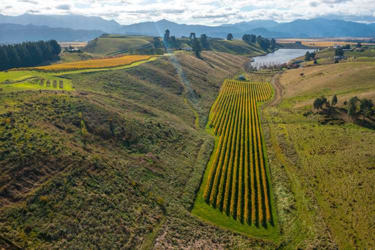 488 Delta Lake Heights Renwick_11