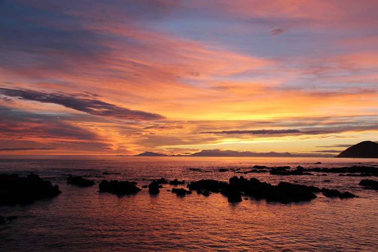 354 The Esplanade Island Bay_14