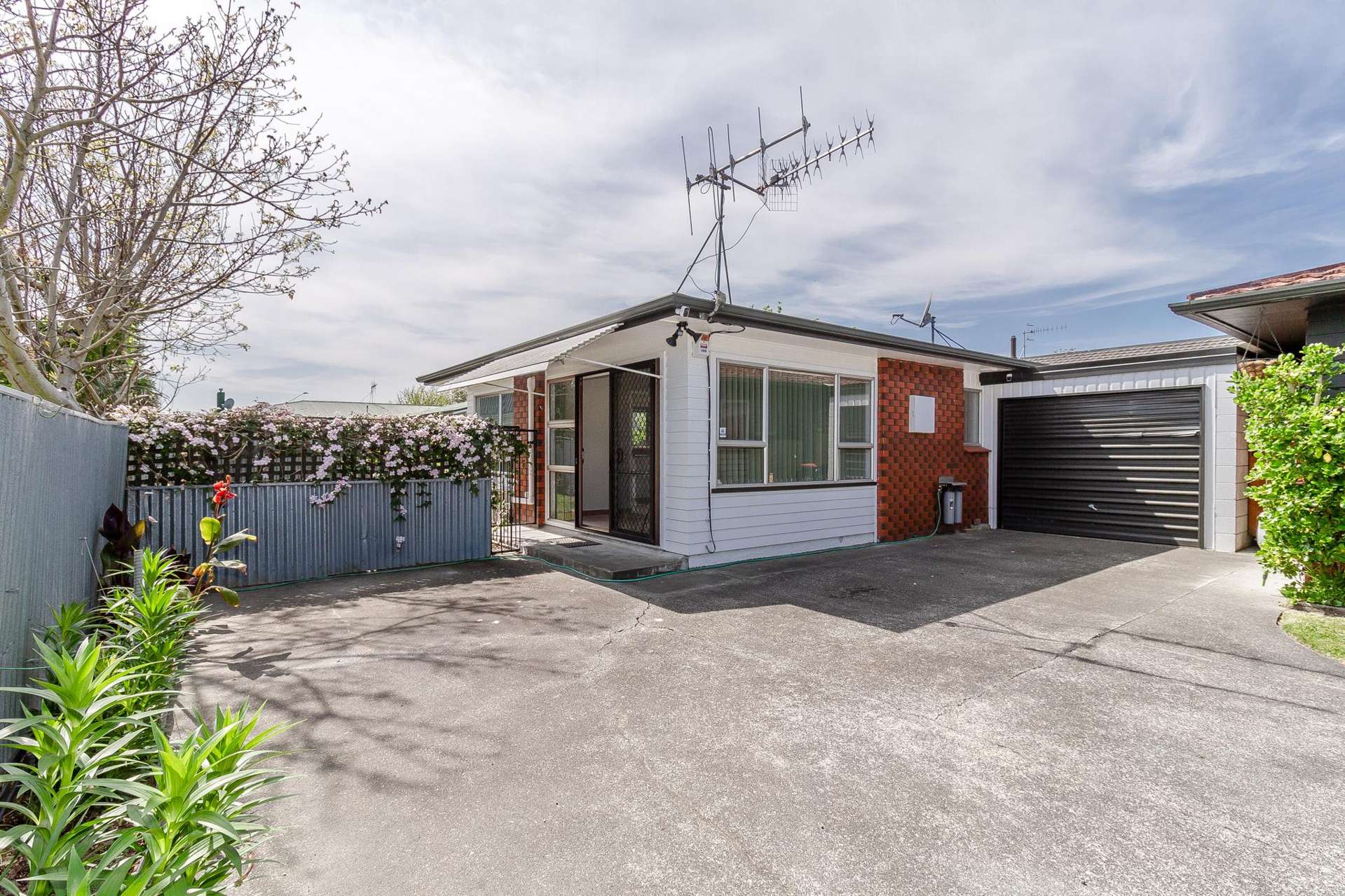 9C Nikau Street Taradale_0