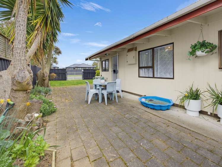 133 Tiro Tiro Road Levin_15