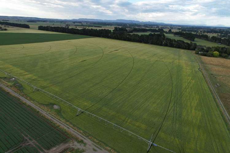 458 Wakarara Road Ongaonga_10