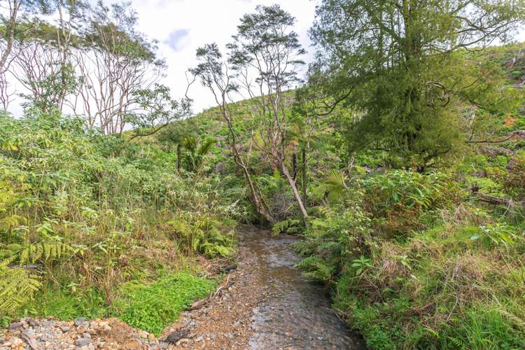 982B Manaia Road Coromandel_22