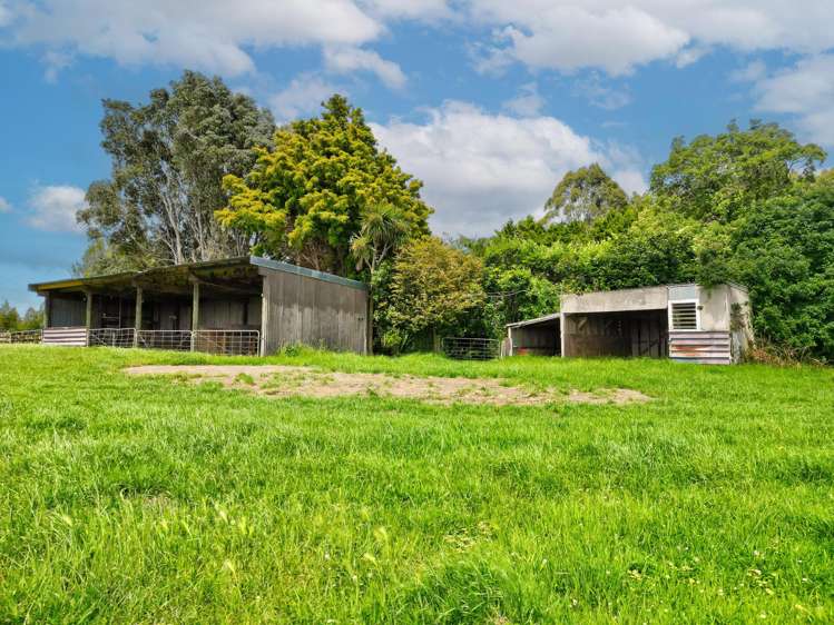 25 Harrison Road Fordell_17