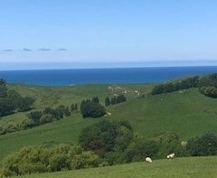 715 Te Apiti Road Waimarama_7