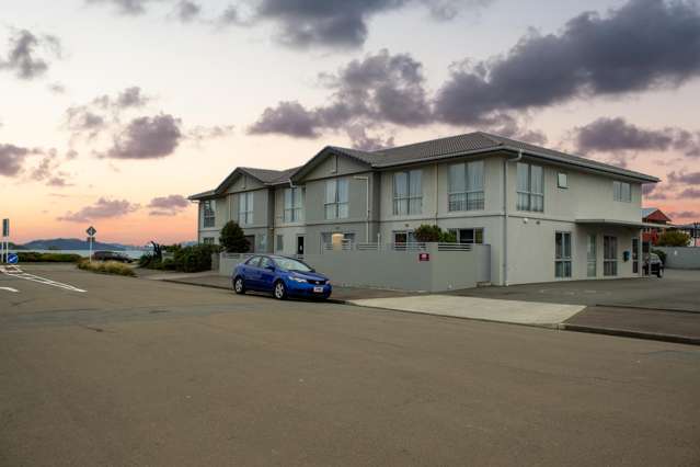 189 The Esplanade Petone_3