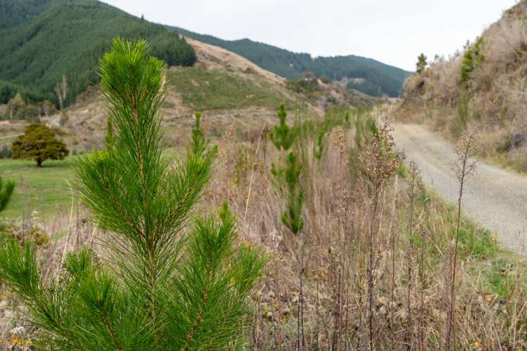 266 Wairoa Gorge Road Brightwater_22