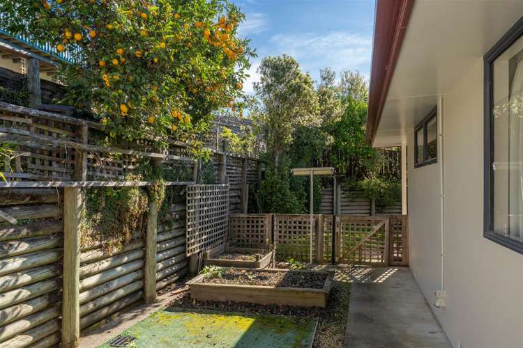 6B Ngapua Place Atawhai_28