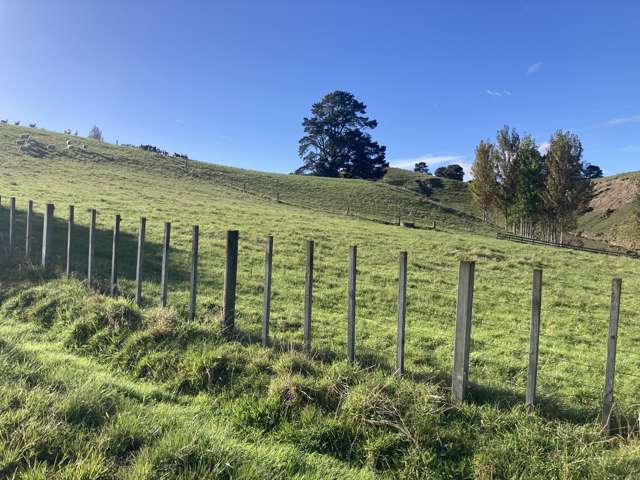 498 Apley Road Puketapu_4