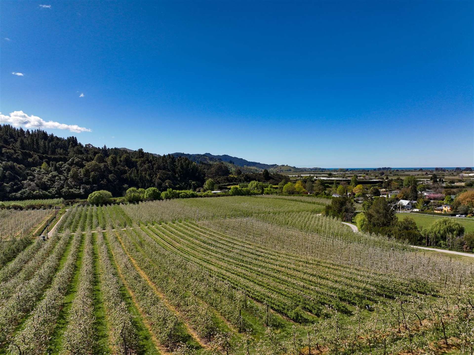 85 Brooklyn Valley Road Riwaka_0